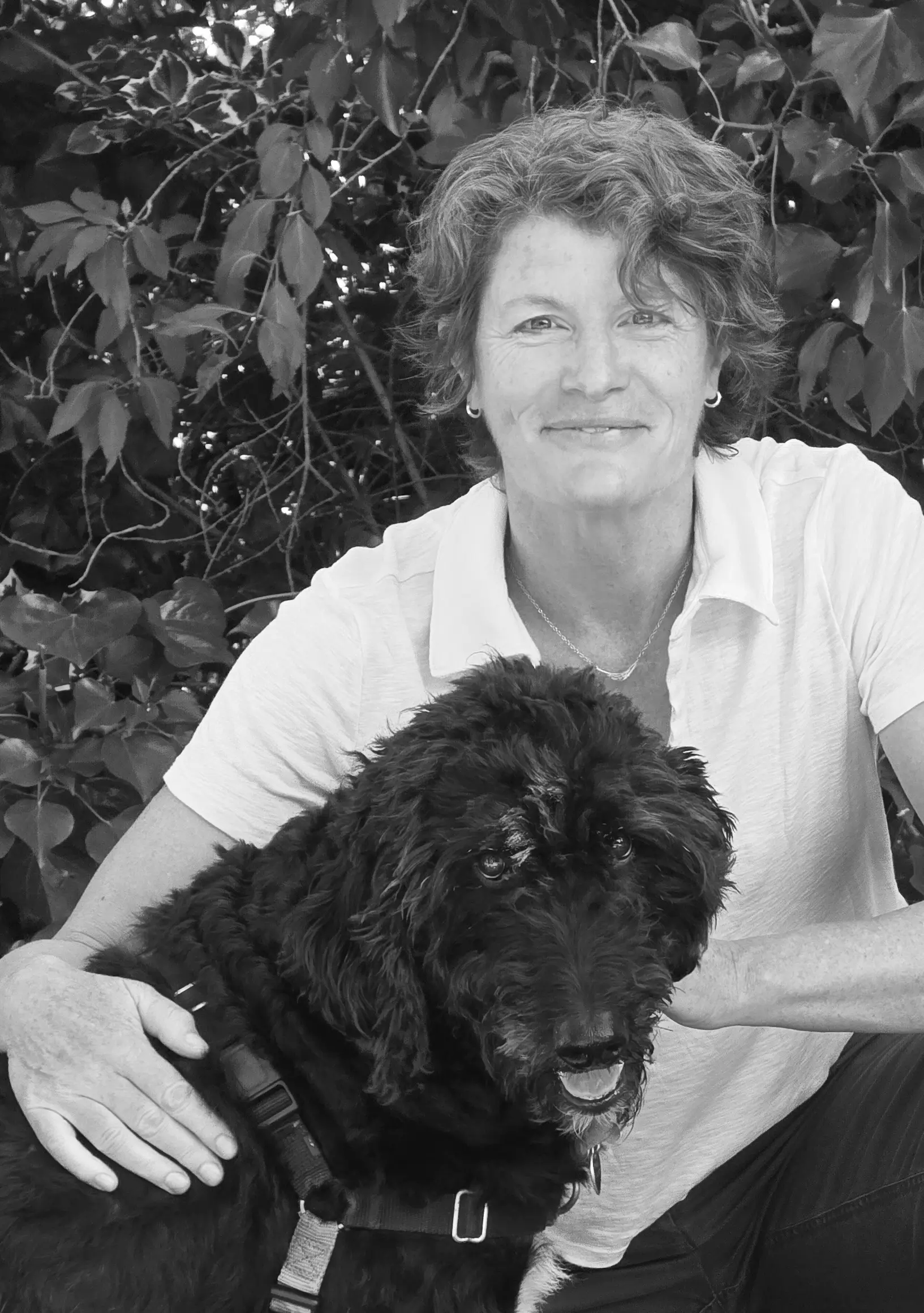 I founded Cave Hill Counselling on a simple belief: healing comes from within